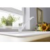 СМЕСИТЕЛ BLANCO WEGA II ЦВЯТ АНТРАЦИТ - 526407 СМЕСИТЕЛ BLANCO WEGA II ЦВЯТ АНТРАЦИТ - 526407